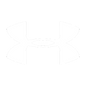 Lake Ridge High School Football logo